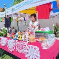 Festiwal Kultury Powiatu Wodzisławskiego (6)