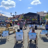 Festiwal Kultury Powiatu Wodzisławskiego (10)