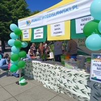 Festiwal Kultury Powiatu Wodzisławskiego (14)