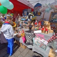 Festiwal Kultury Powiatu Wodzisławskiego (11)