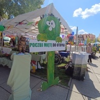 Festiwal Kultury Powiatu Wodzisławskiego (19)