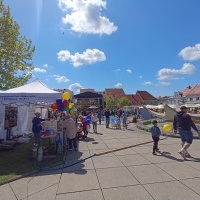 Festiwal Kultury Powiatu Wodzisławskiego (4)