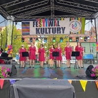 Festiwal Kultury Powiatu Wodzisławskiego (5)