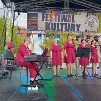 Festiwal Kultury Powiatu Wodzisławskiego (6)