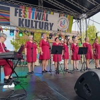 Festiwal Kultury Powiatu Wodzisławskiego (7)