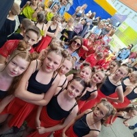 Festiwal Kultury Powiatu Wodzisławskiego (8)