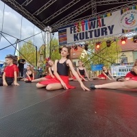 Festiwal Kultury Powiatu Wodzisławskiego (9)