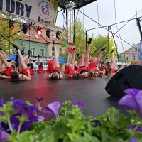 Festiwal Kultury Powiatu Wodzisławskiego (10)