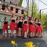 Festiwal Kultury Powiatu Wodzisławskiego (12)