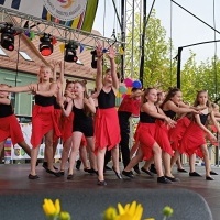 Festiwal Kultury Powiatu Wodzisławskiego (13)