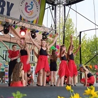 Festiwal Kultury Powiatu Wodzisławskiego (14)