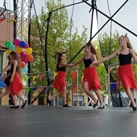Festiwal Kultury Powiatu Wodzisławskiego (15)