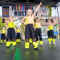Festiwal Kultury Powiatu Wodzisławskiego (3)
