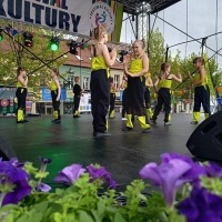 Festiwal Kultury Powiatu Wodzisławskiego (4)