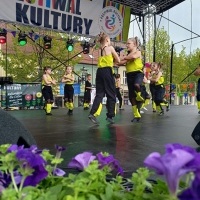Festiwal Kultury Powiatu Wodzisławskiego (5)