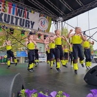 Festiwal Kultury Powiatu Wodzisławskiego (6)