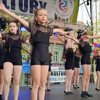 Festiwal Kultury Powiatu Wodzisławskiego (8)