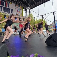 Festiwal Kultury Powiatu Wodzisławskiego (10)