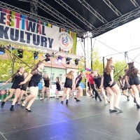 Festiwal Kultury Powiatu Wodzisławskiego (11)