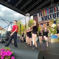Festiwal Kultury Powiatu Wodzisławskiego (12)