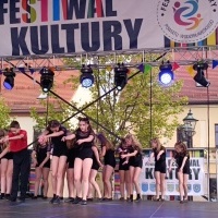 Festiwal Kultury Powiatu Wodzisławskiego (13)