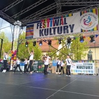 Festiwal Kultury Powiatu Wodzisławskiego (3)