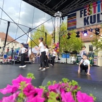 Festiwal Kultury Powiatu Wodzisławskiego (5)