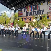 Festiwal Kultury Powiatu Wodzisławskiego (6)