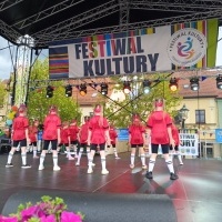 Festiwal Kultury Powiatu Wodzisławskiego (7)