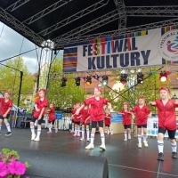 Festiwal Kultury Powiatu Wodzisławskiego (8)