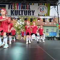 Festiwal Kultury Powiatu Wodzisławskiego (9)