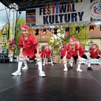 Festiwal Kultury Powiatu Wodzisławskiego (10)