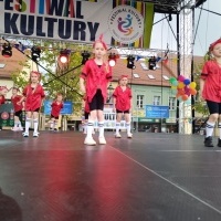 Festiwal Kultury Powiatu Wodzisławskiego (11)