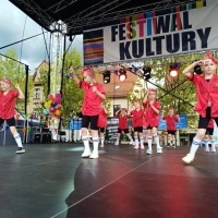 Festiwal Kultury Powiatu Wodzisławskiego (12)