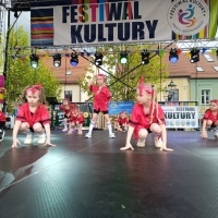 Festiwal Kultury Powiatu Wodzisławskiego (13)