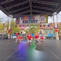 Festiwal Kultury Powiatu Wodzisławskiego (15)