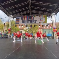 Festiwal Kultury Powiatu Wodzisławskiego (16)
