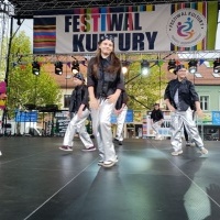 Festiwal Kultury Powiatu Wodzisławskiego (2)