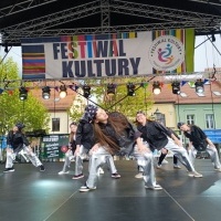 Festiwal Kultury Powiatu Wodzisławskiego (4)