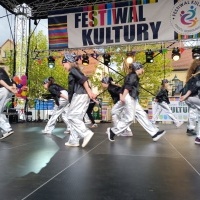 Festiwal Kultury Powiatu Wodzisławskiego (7)