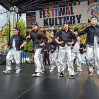 Festiwal Kultury Powiatu Wodzisławskiego (8)
