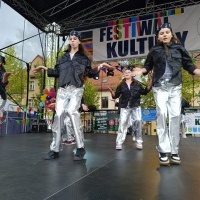Festiwal Kultury Powiatu Wodzisławskiego (12)