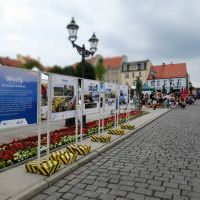 Festiwal Górnej Odry w Wodzisławiu Śląskim (7)