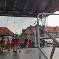 Festiwal Górnej Odry w Wodzisławiu Śląskim (6)