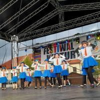 Festiwal Górnej Odry w Wodzisławiu Śląskim (13)