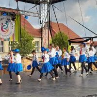 Festiwal Górnej Odry w Wodzisławiu Śląskim (17)