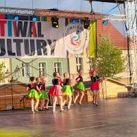 Festiwal Górnej Odry w Wodzisławiu Śląskim (11)