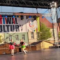 Festiwal Górnej Odry w Wodzisławiu Śląskim (12)
