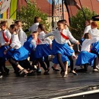 Festiwal Górnej Odry w Wodzisławiu Śląskim (15)