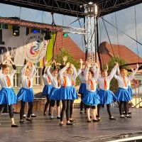 Festiwal Górnej Odry w Wodzisławiu Śląskim (16)